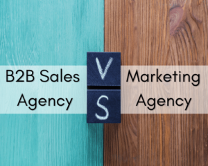 FounderScale B2B Sales Agency vs Marketing Agency