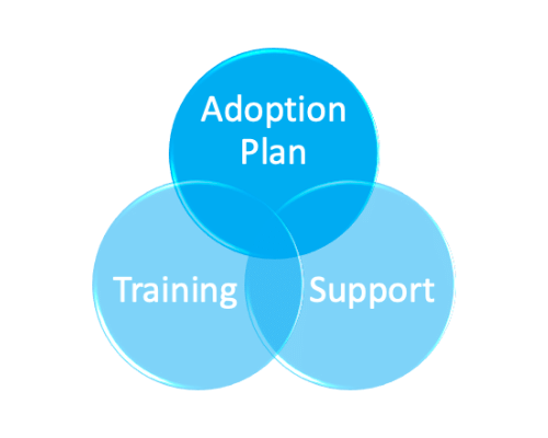 FounderScale Blog - Adoption Strategy